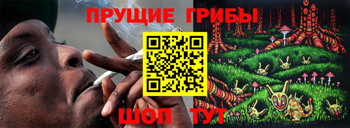 Новороссийск  Галлюциногенные грибы Magic Shrooms  Вход с VPN 