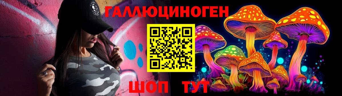 Псилоцибиновые грибы Psilocybe Новороссийск